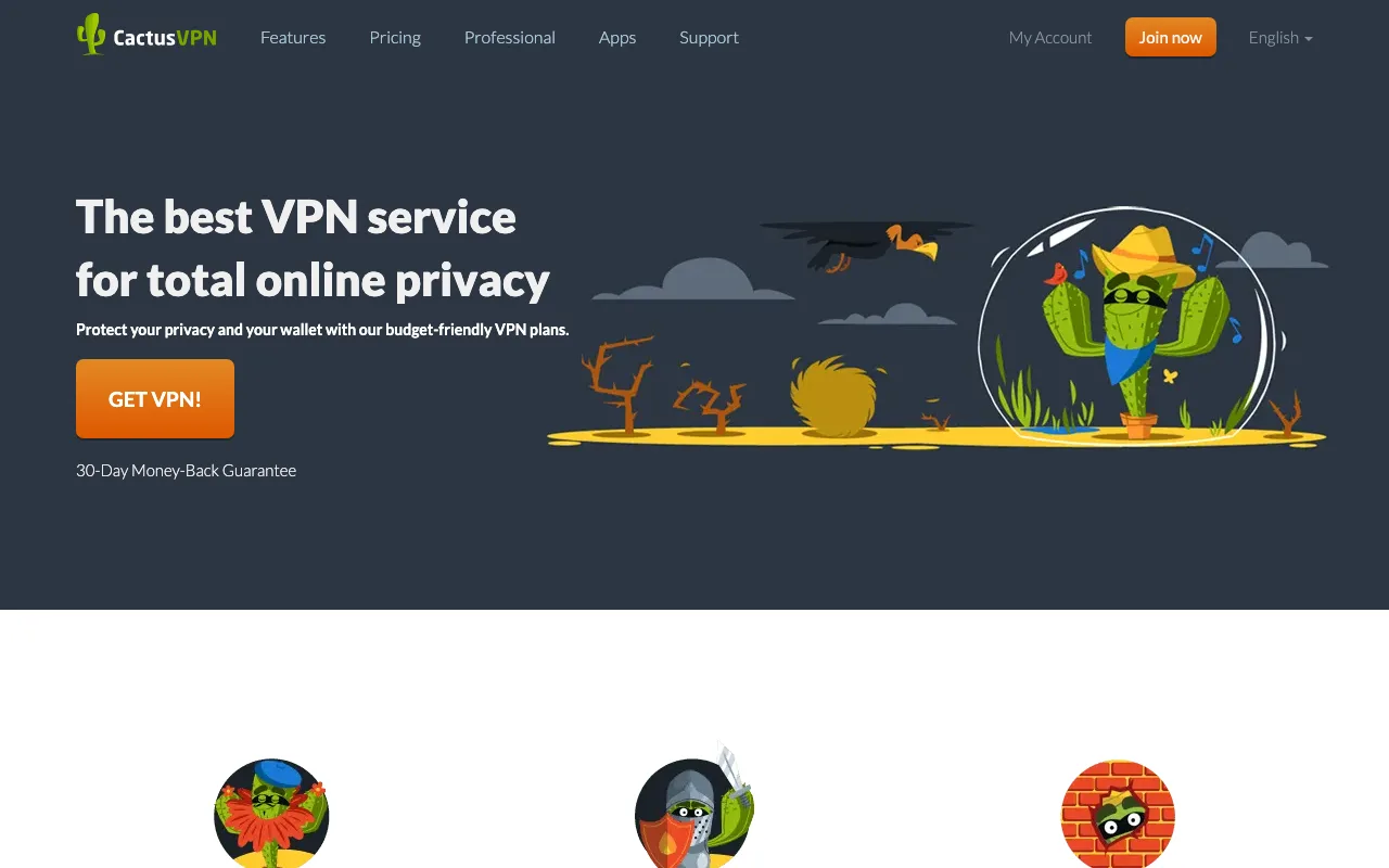 CactusVPN homepage