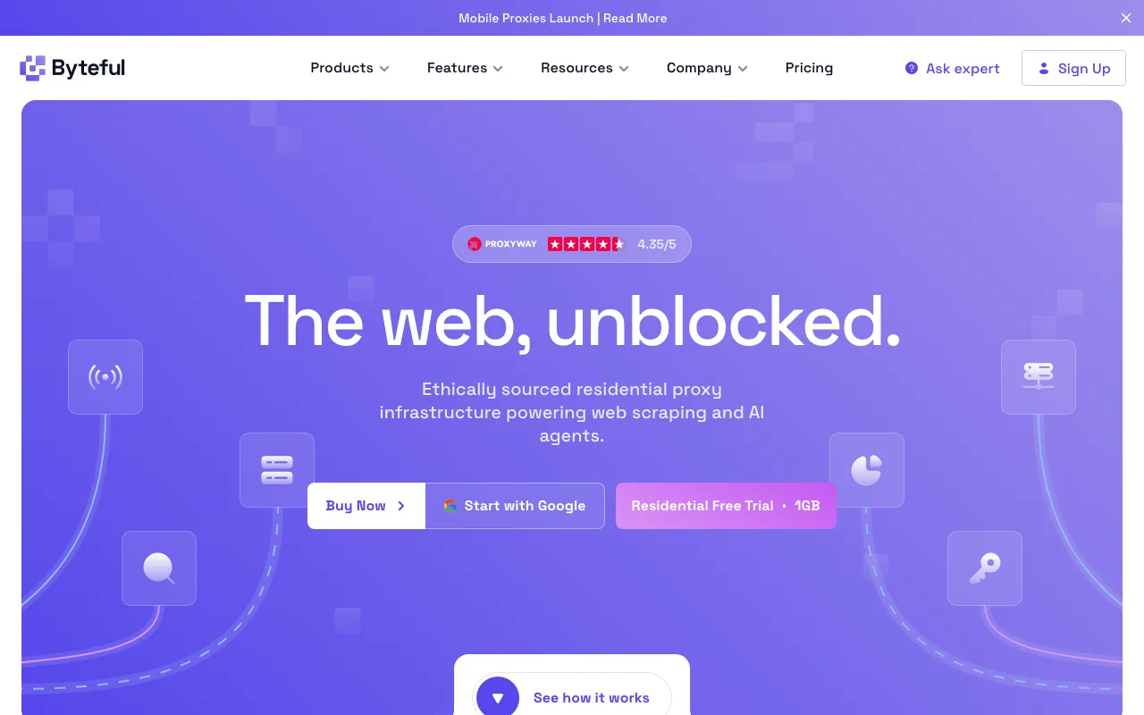 Ping Proxies homepage